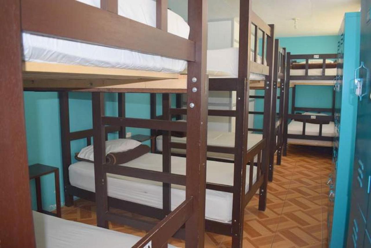 Mango Hostel B&B アレキパ エクステリア 写真