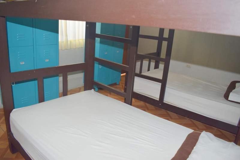 Mango Hostel B&B アレキパ エクステリア 写真