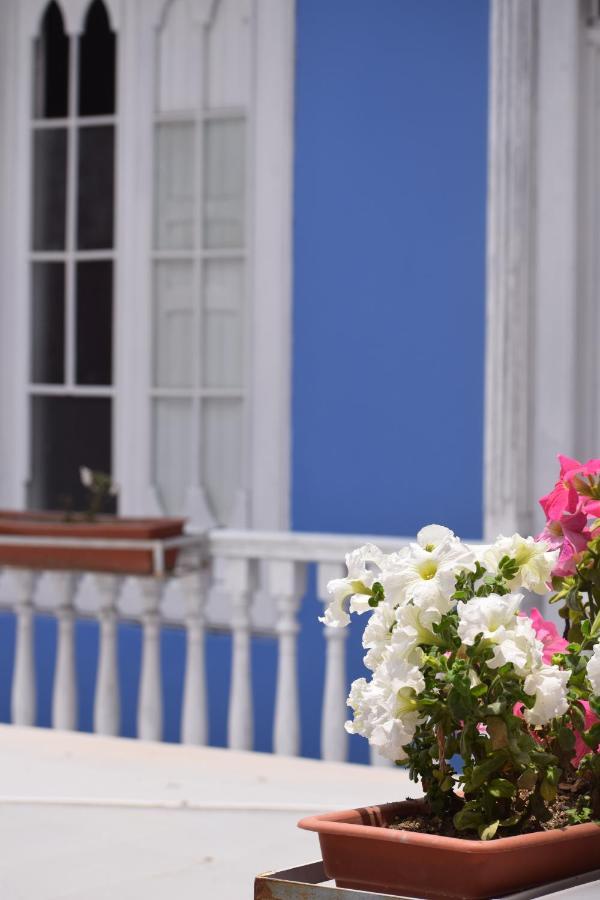 Mango Hostel B&B アレキパ エクステリア 写真